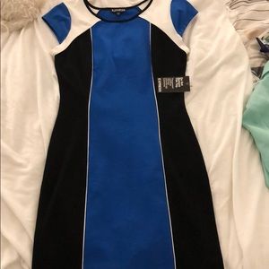 Express bodycon dress